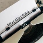 SEO para WordPress